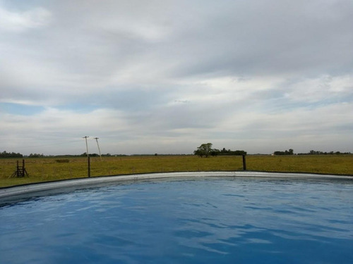 Imagen 8 de 30 de Campo En San Andres De Giles