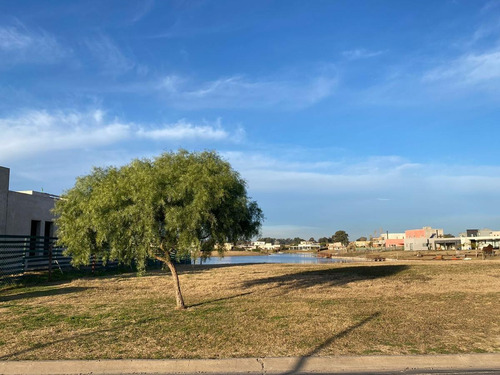 Imagen 2 de 3 de Lote En Venta San Sebastian Area 5 A La Laguna
