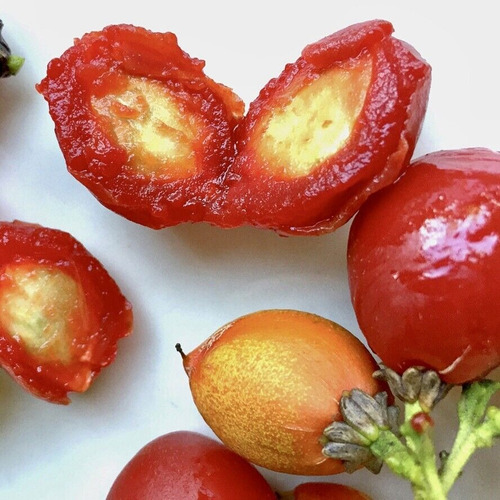 Planta Bunchosia Argentea ( Ciruela De Fraile)