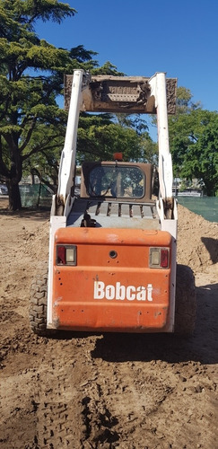 Bobcat
