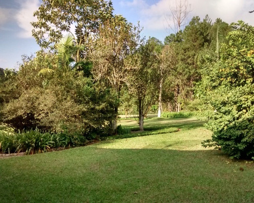 Imagem 17 de 30 de Excelente Sítio Rico Em Água Á Venda Em Juquitiba. - 194 - 32982689