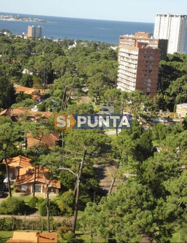 Imagen 6 de 7 de Apartamento En Venta