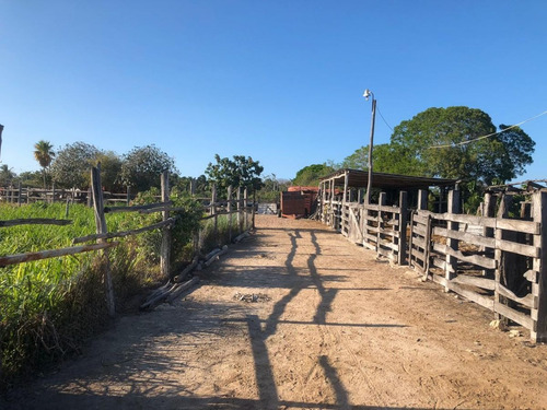 Imagen 9 de 16 de Terreno En Venta En Puerto Progreso, Yucatán