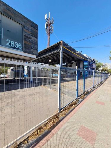 Arrienda Vende 500 Y 1500 M2 (167343)