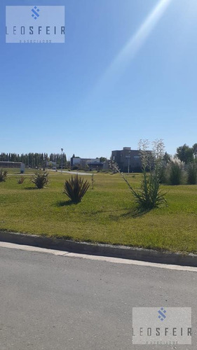 Imagen 13 de 15 de Terreno - Cinco Soles
