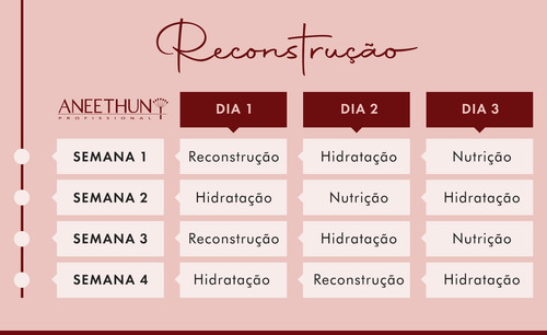 3 Kits Aneethun Linha A + Force + Repair Cronograma Capilar
