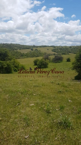 Imagen 26 de 30 de Venta Chacra 5 Has Ubicada En Jose Ignacio Proximo A Garzon