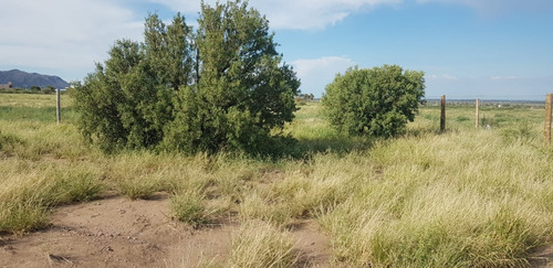 Imagen 4 de 6 de Terreno Cerrado En San Benito 2 - 1200m - La Punta, San Luis