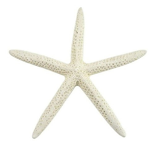 10 Dedos Lapiz Color Blanco Estrella De Mar Diferentes Tama
