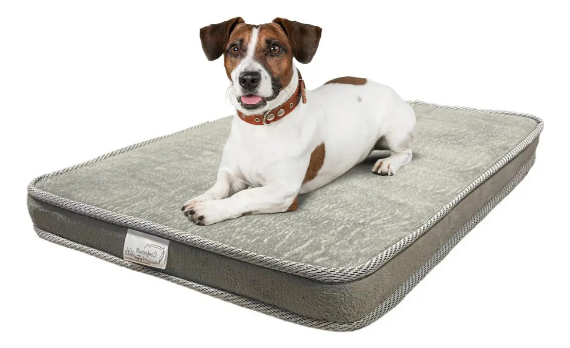 Comfortwell Colchão Pet Ortopético Caminha Cama P Premium Para Cães Gatos Cor Cinza