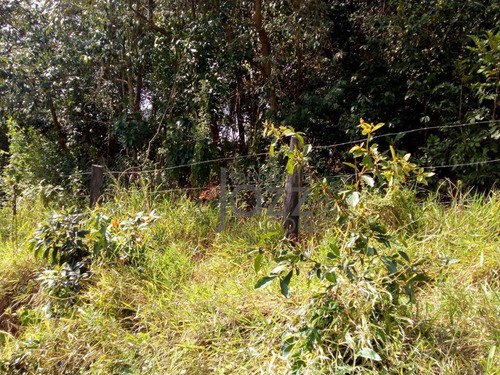 Imagem 11 de 11 de Terreno À Venda, 1060 M² Por R$ 120.000,00 - Vivendas Do Engenho D Água - Itatiba/sp - Te1550