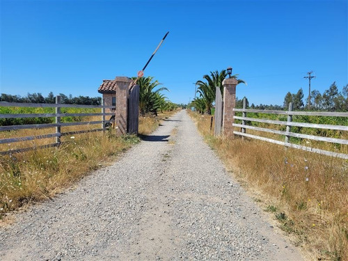 Imagen 10 de 18 de Agrícola En Venta En Ñiquén