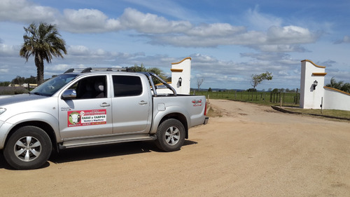 Campos Chacra Estancia Necesitamos Ya!! Para Arrendar Alquilar Venta Ganadero Agricola Tambo Forestal Pedidos Concretos Todo El Pais Se Ofrece Garantía Renta Pagada Adelantada Rápida Revisión Reserva