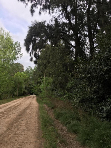 Imagen 3 de 3 de Lote En Marcos Paz