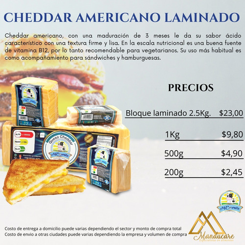 Queso Cheddar Americano - Domicilio Quito- Envio Provincias