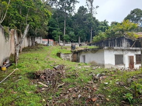 Imagen 7 de 11 de Gran Terreno 1050m²-carretera Alto Hatillo-c.ciega-vista-hatillo-if