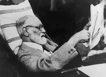 Comprar Cuadro 60x90cm Sigmund Freud Psicologia Medicina Genio M2