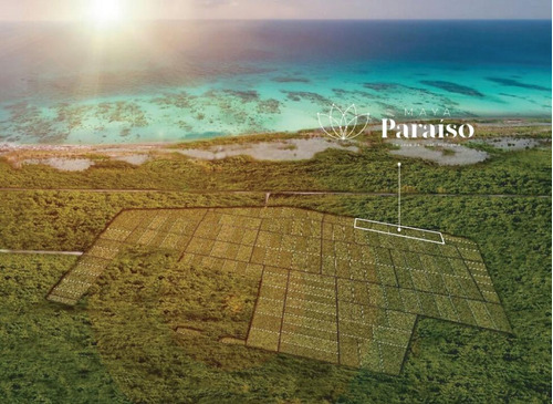 Desarrollo Maya Paraíso Lotes De Inversión De 490m2 En El Maravilloso Puerto De Sisal, Yucatán