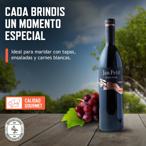 Vino Tinto Español Jan Petit 750ml Clos Pons Pack X6