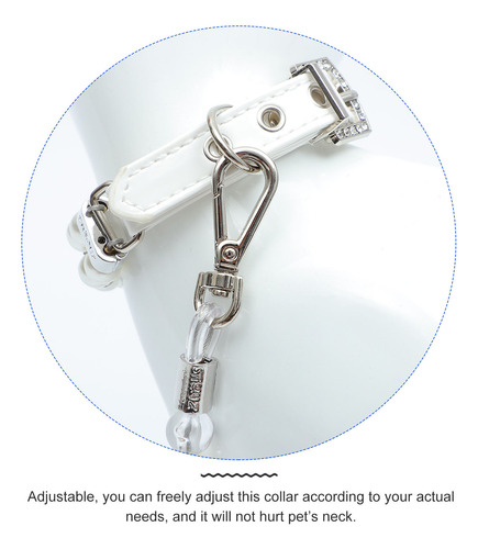 Juego De 2 Piezas De Collar De Seguridad Ajustable Y Correa