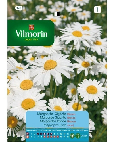 Imagen 1 de 4 de Semillas De Margarita Gigante Blanca Flores Floral Jardin