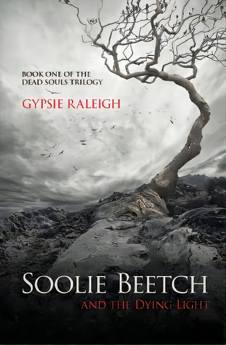Soolie Beetch And The Dying Light, De Raleigh, Gypsie. Editorial Lightning Source Inc, Tapa Blanda En Inglés