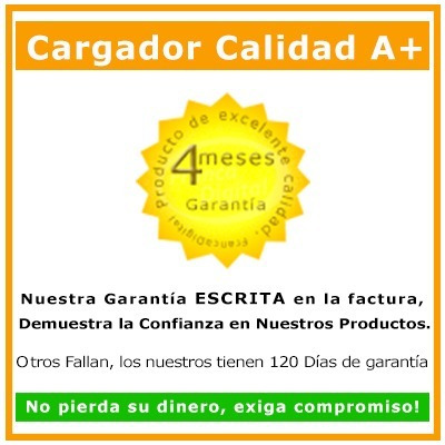 Cargador De Batería Np-fv100 Fv30 Fv50 Fv70 P Filmadora Sony
