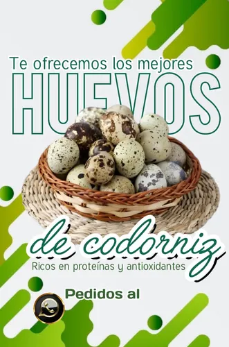 Huevos De Codorniz Frescos