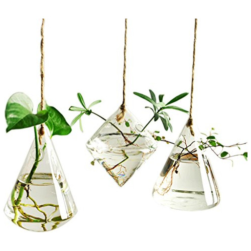 Terrarium Container Flower Planter Hanging Glass For Hy...