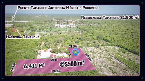 Terreno De 6,400 M2 En Tamanché, Carretera A Progreso