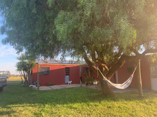 Imagen 13 de 21 de Chacra De 8 Hás Con Vivienda Próximo A Tala