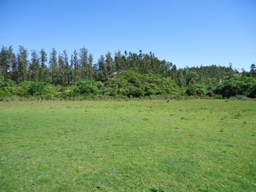 Campo En Venta En Lavalleja, 65 Hectáreas.