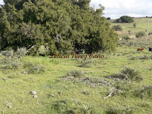 Venta Chacra Jose Ignacio 2 Has - Ref: 19207