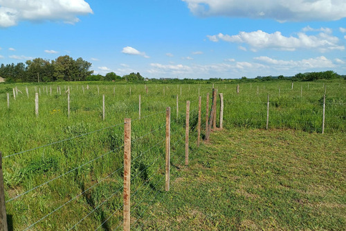 Loteo Rural!! Terrenos Sin Expensas! En Venta Desde 360m2 A 900m2 Ubicados En Villa Espil.