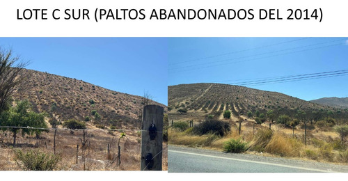 Lote C Sur 193has + Derechos De Aprovechamientode Aguas