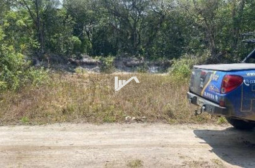 Imagem 2 de 4 de Terreno No Bairro Jardim Regina, Em Itanhaém