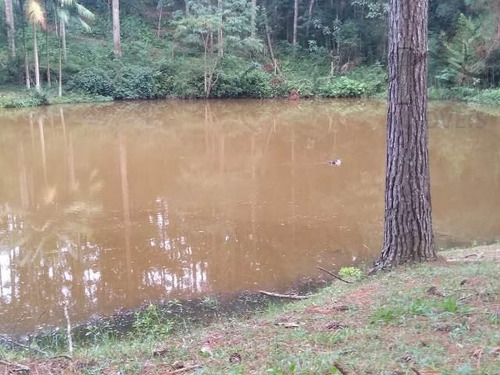 Imagem 13 de 15 de Cód 3318 - Exuberante Sitio Em São Roque!! - 3318