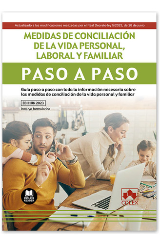 Libro Medidas De Conciliacion De La Vida Personal, Labora...