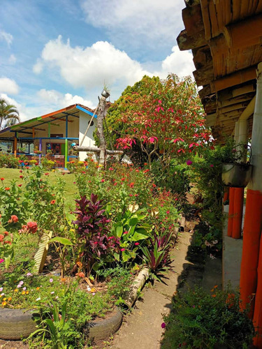 Imagen 16 de 30 de Venta De Finca En Pereira Vereda Combia .