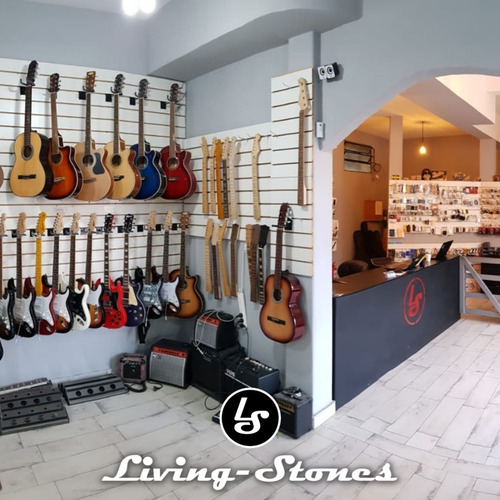 Imagen 3 de 8 de Potenciometro Alpha Big Guitarra Bajo Lineal Logartimico