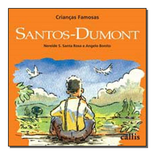 Libro Santos Dumont 02ed 11 De Rosa Nereide Schilaro Santa