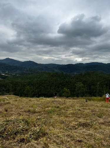 Imagem 14 de 15 de 11o- Terreno Próximo À Carapicuiba