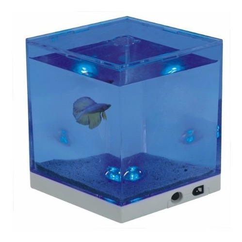 Imagen 2 de 3 de Bettera Boyu Na1 Betta Luz Led Acuarios Peceras Peces