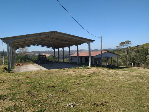 Imagem 11 de 30 de Chácara À Venda, 166375 M² Por R$ 4.000.000,00 - Costeira - São José Dos Pinhais/pr - Ch0081