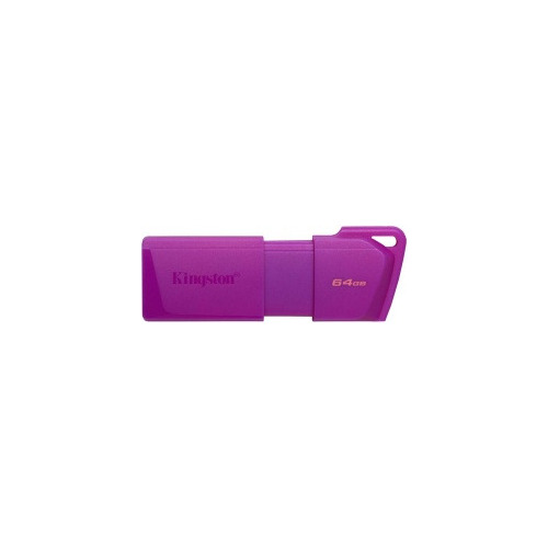 Memoria Flash Usb Kingston De 64 Gb Exodia Color Violeta Inf