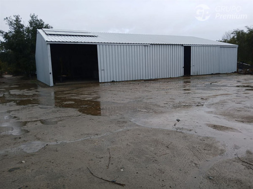 Agrícola En Venta En Linares