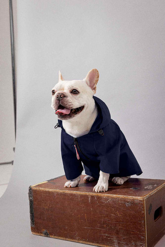 Impermeable Azul Marino Para Perro De Tommy Hilfiger