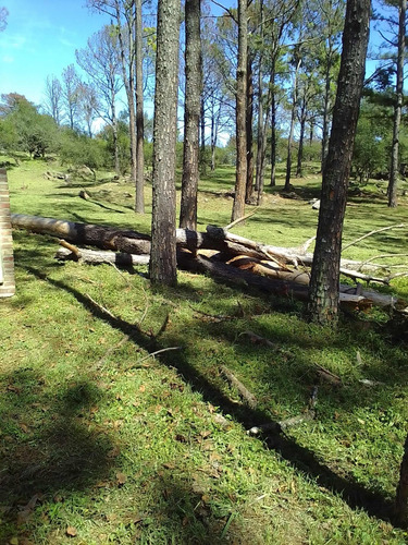 Calamuchita-cordoba. Zona Yacanto, Santarosa. Terreno 2015m2 En Barrio Cerrado, Escritura Inmediata - Forestacion, Sum, Pileta (a 8km Santa Rosa Y 20km De Villa General Belgrano)