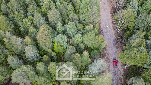 Parcela 5000 M2 En Bosque Pucón Con Bosque Nativo
