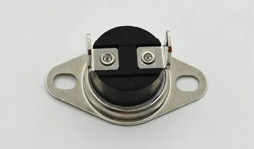 Para Termostato Microonda Ge